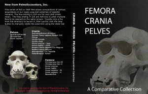 Dvd cover produced for a University assignment. Images and text were given in the task brief. Assignment assessed our design and Photoshop skills.